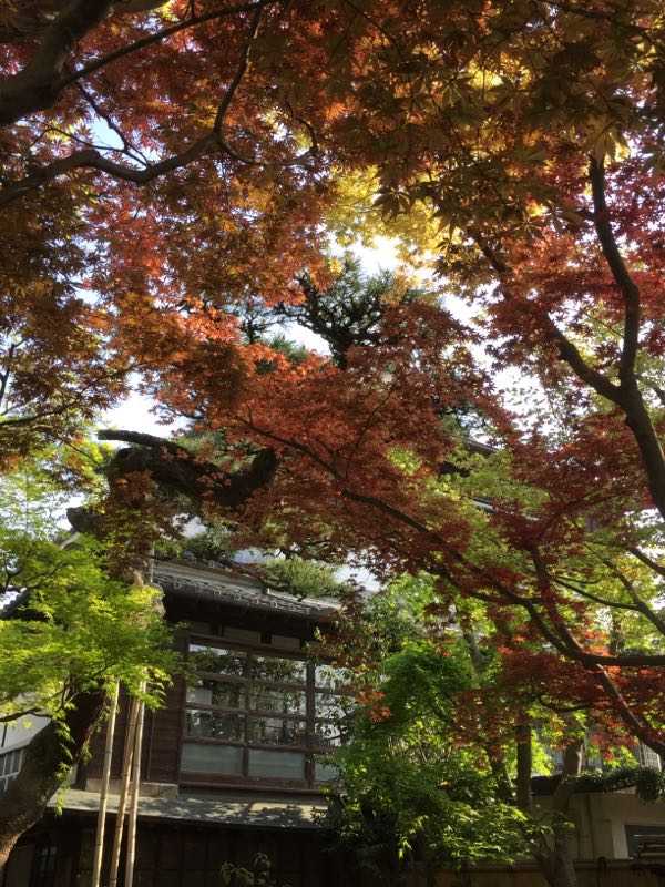 rblog-20180411114815-02.jpg