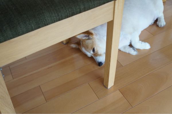 rblog-20170704221041-06.jpg