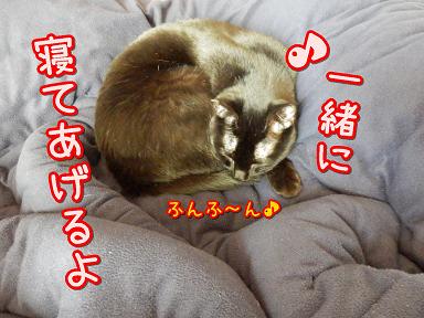 鈴一緒.JPG
