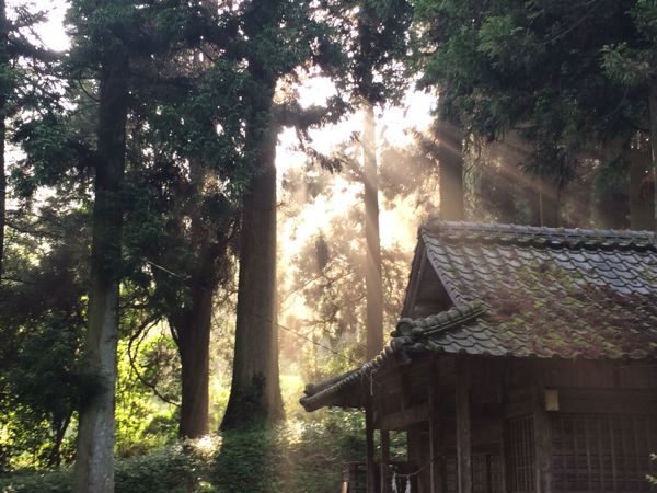 rblog-20140527020705-01.jpg