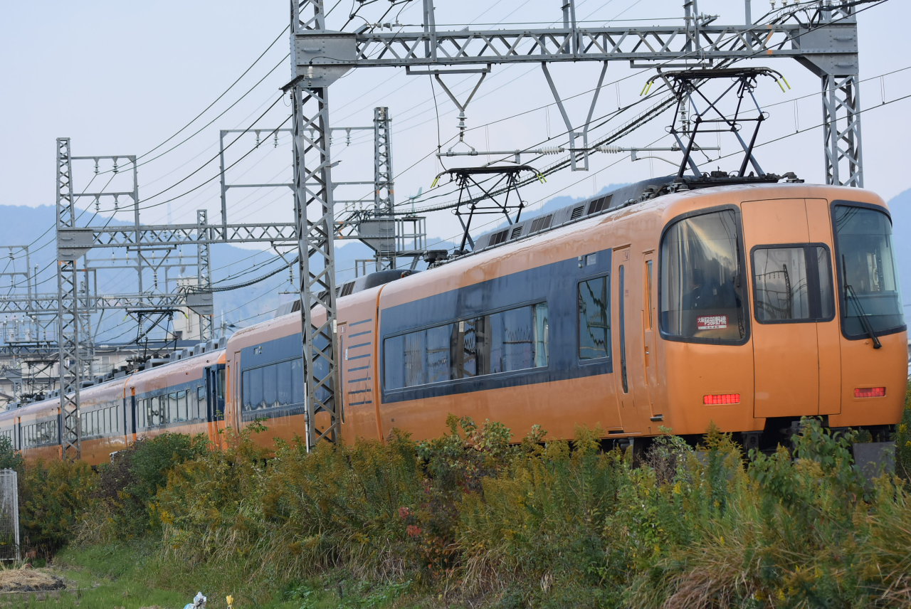 DSC_6508.JPG