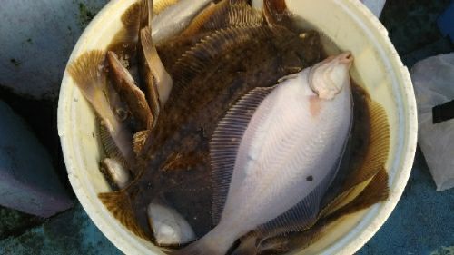 rblog-20171211170643-02.jpg