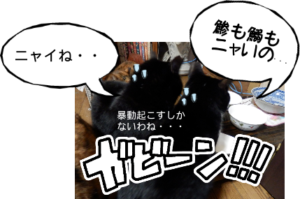 P6110027.png