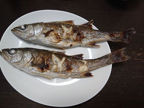 すずき 魚 すずき スズキ 鱸 鈴木 塩焼き りょうちんのブログ 楽天ブログ