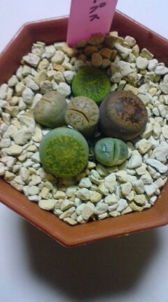 20121209195934.jpg