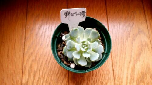 rblog-20160726183333-01.jpg