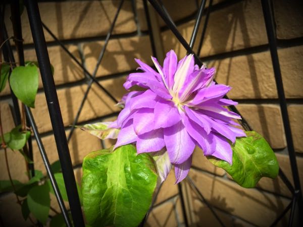 rblog-20150430203418-03.jpg
