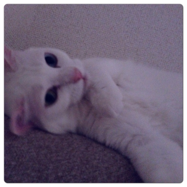 rblog-20130619221217-01.jpg