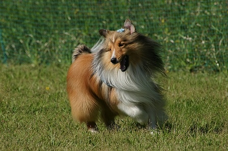 DSC02885.jpg