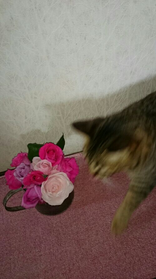 rblog-20160428200137-02.jpg
