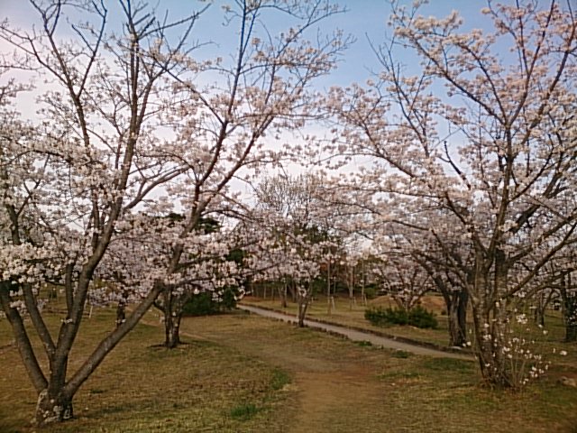 DSC_0422.jpg
