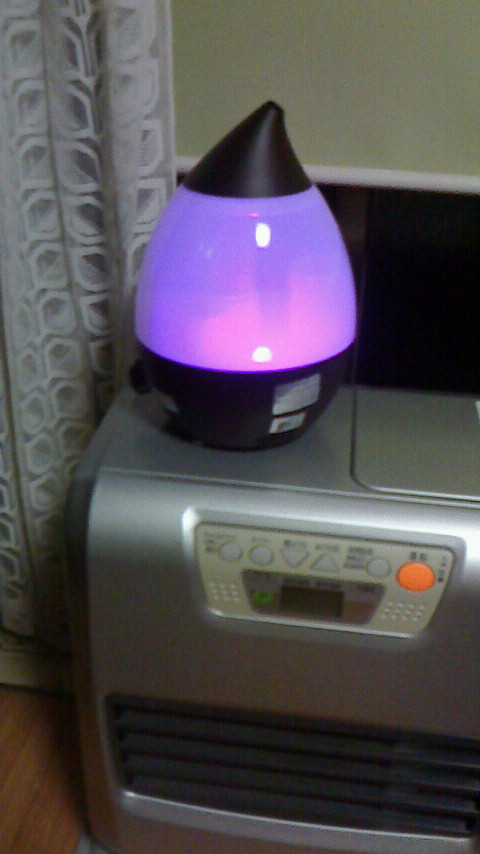 NEC_0640.JPG
