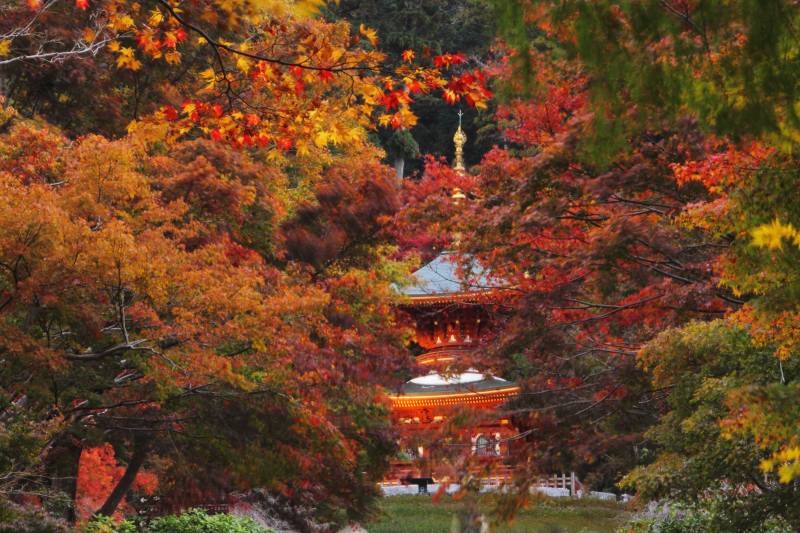 勝尾寺_5-6.jpg