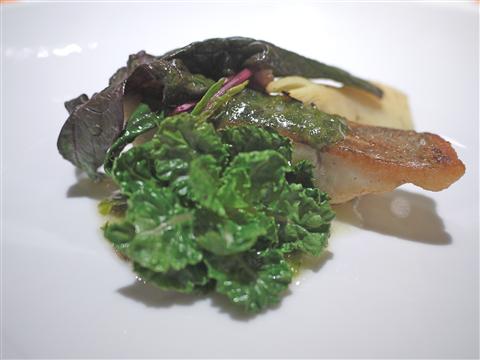 P1110066(1).jpg
