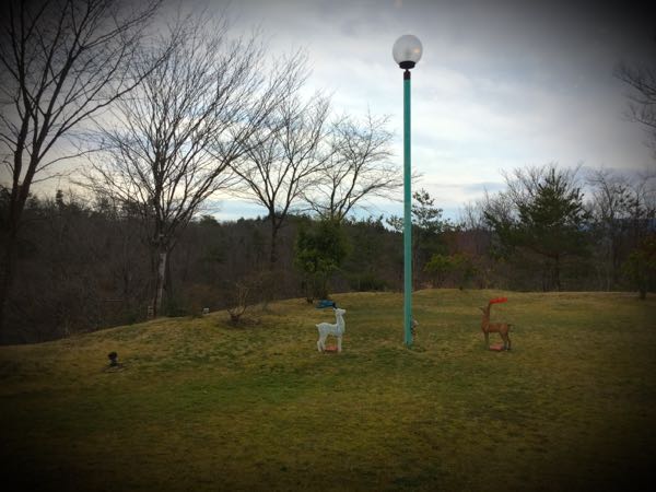 rblog-20160327084640-03.jpg