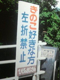 きのこ