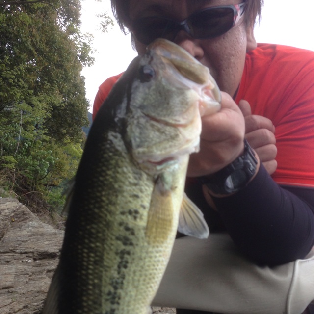 rblog-20130506205436-03.jpg