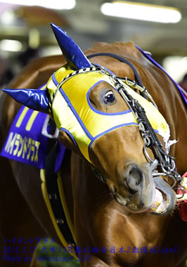 11HighlandGrass121714Kw11R_07