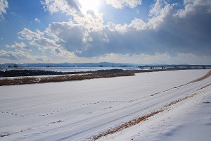 IMG_9974.jpg