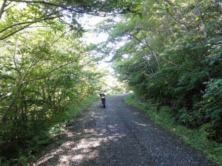 日山源田林道１