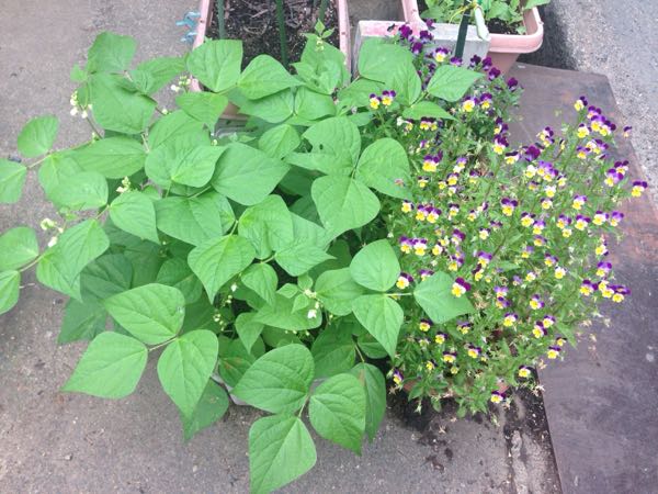 rblog-20160529201927-03.jpg