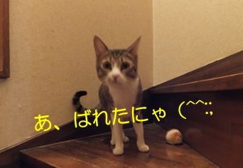 20121026_7.jpg