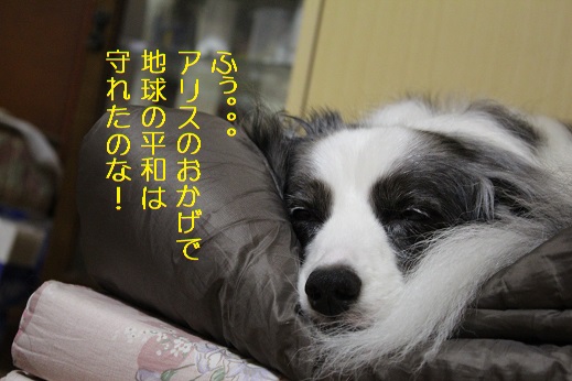 ありがとう
