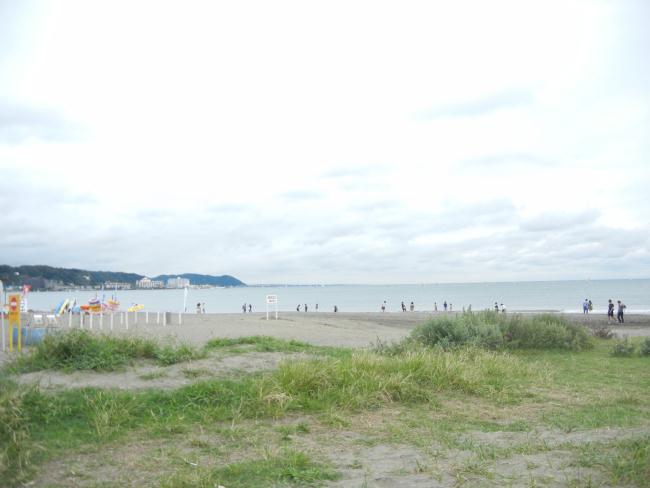 DSCN6101.JPG