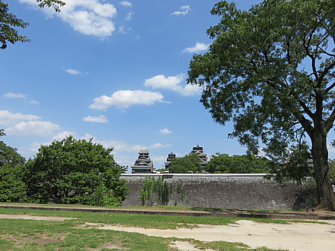 IMG_4845.jpg