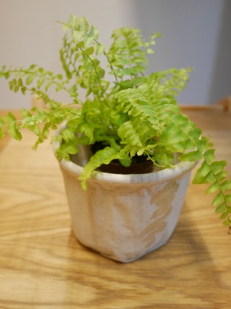 P1050065.JPG