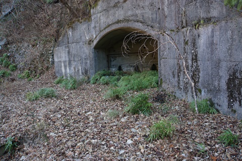 DSC02081.JPG
