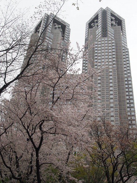 P4050017.jpg