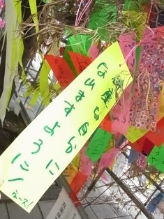 七夕の笹と風 (3)