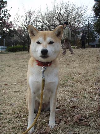 だから今日の主役は私