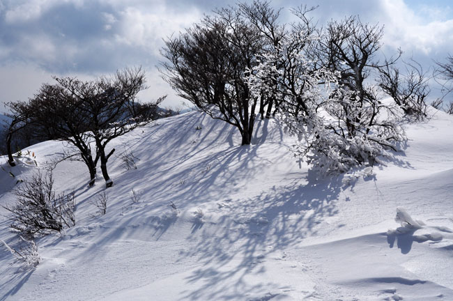 雪１