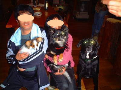 マリィパパとキイママとマリイ、キイ、ヨタ