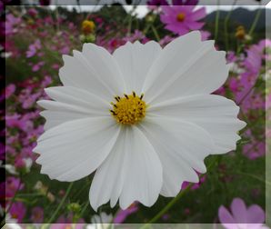 DSC01324.JPG