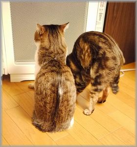 伸びぃ～