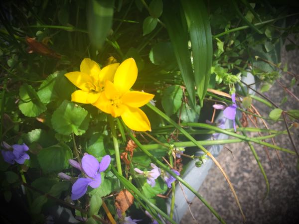 rblog-20160406142324-02.jpg