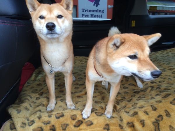 rblog-20151226080057-01.jpg