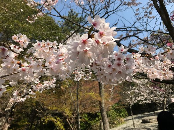 rblog-20180329175549-05.jpg