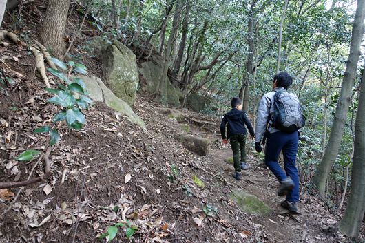 登山道をゆく