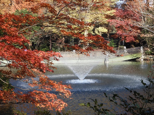 井の頭恩賜公園