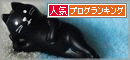 ここも