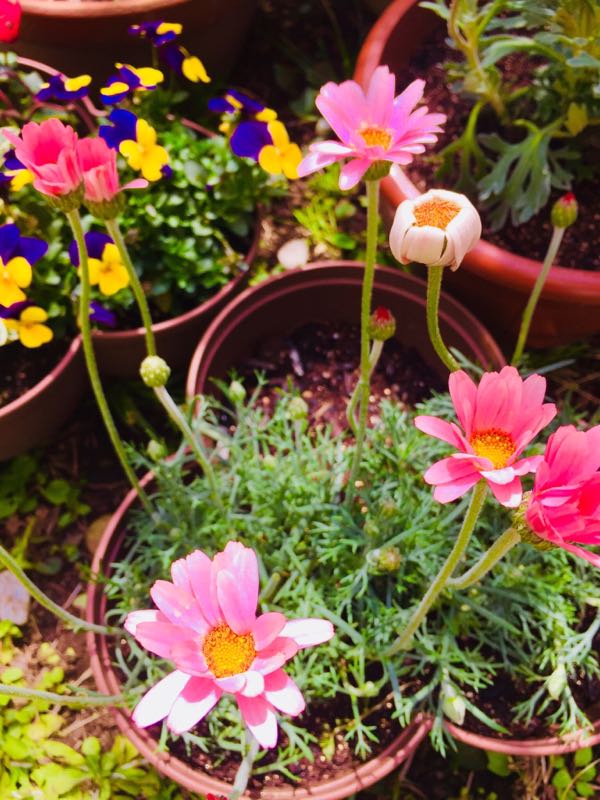 rblog-20180326172543-01.jpg