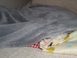 P1260428ss.jpg