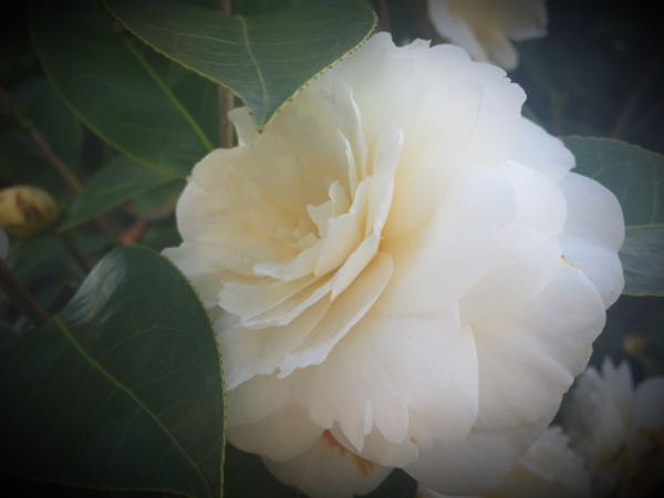 rblog-20160406132850-08.jpg