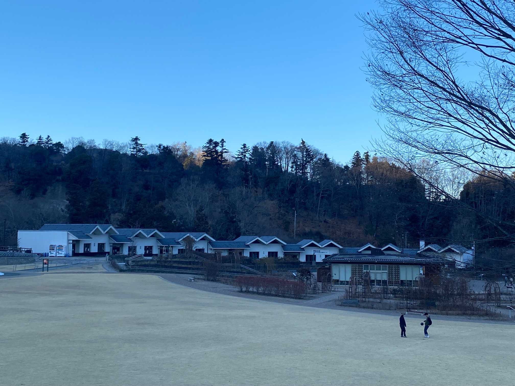 甲州野梅盆栽展~道の駅みのぶ(富士川クラフトパーク)で今月30日（日