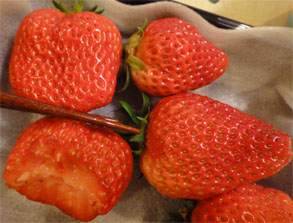 いちご村米山2.jpg
