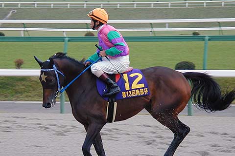 ウイングアローの存在感 地方競馬の楽天競馬 日替わりライターブログ 楽天ブログ